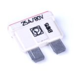 FKS fuse 80V, 25A